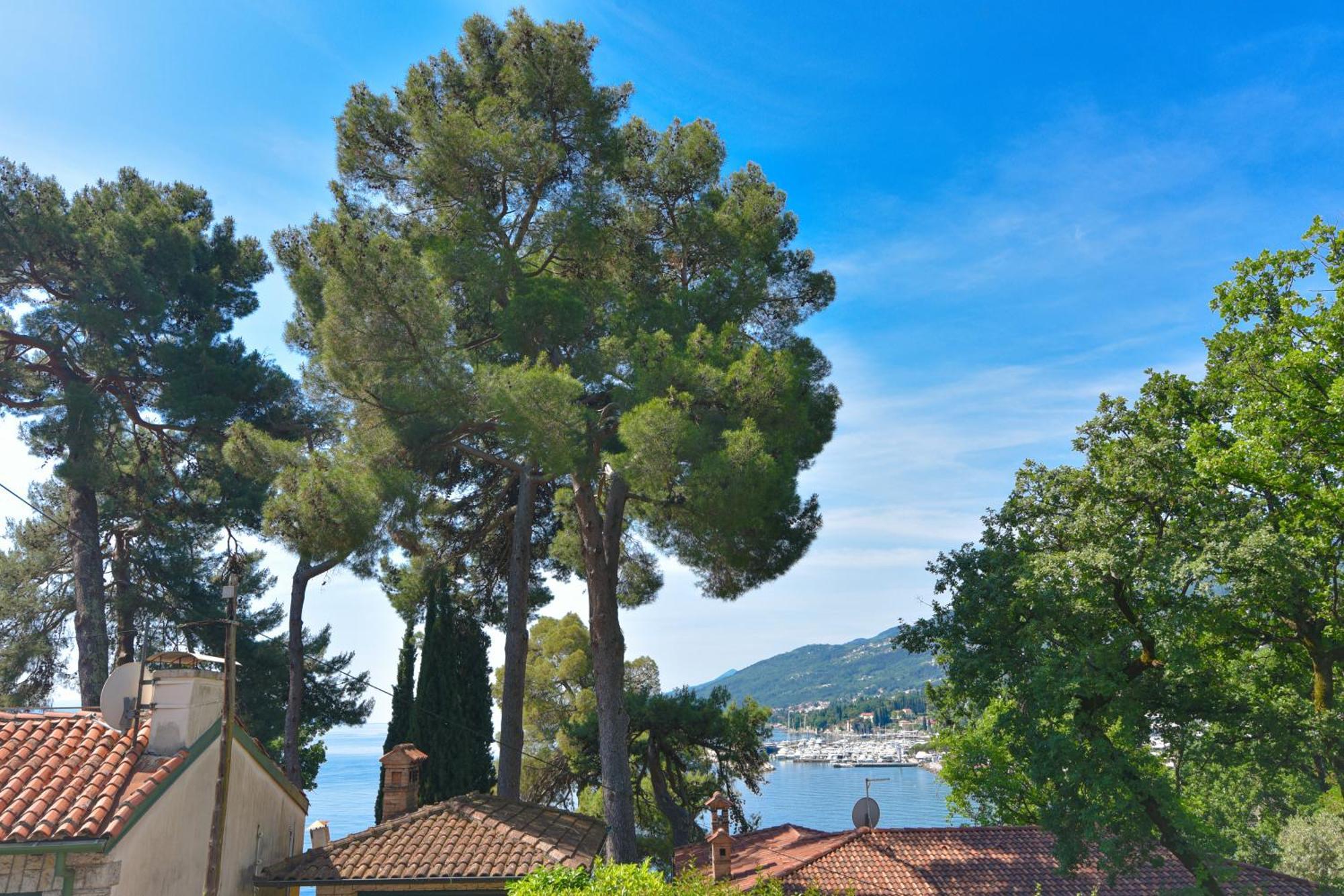 Apartments Villa Vosilla Abbazia Esterno foto